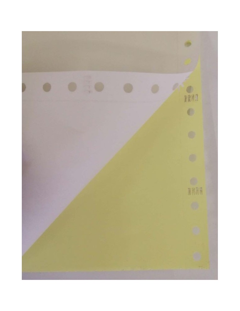 JAYAMART Stationery|Computer Form Colour 9.5" x 11" x 2 ply (500f)RM53.00RM53.00Computer Form