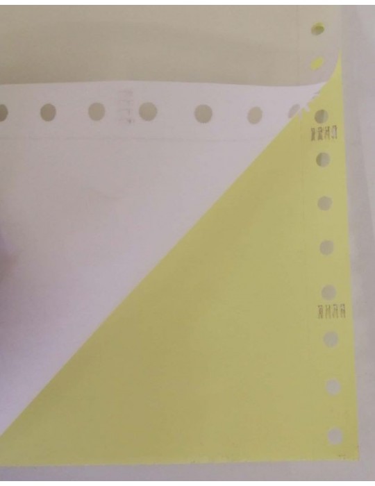 JAYAMART Stationery|Computer Form Colour 9.5" x 11" x 2 ply (500f)RM53.00RM53.00Computer Form