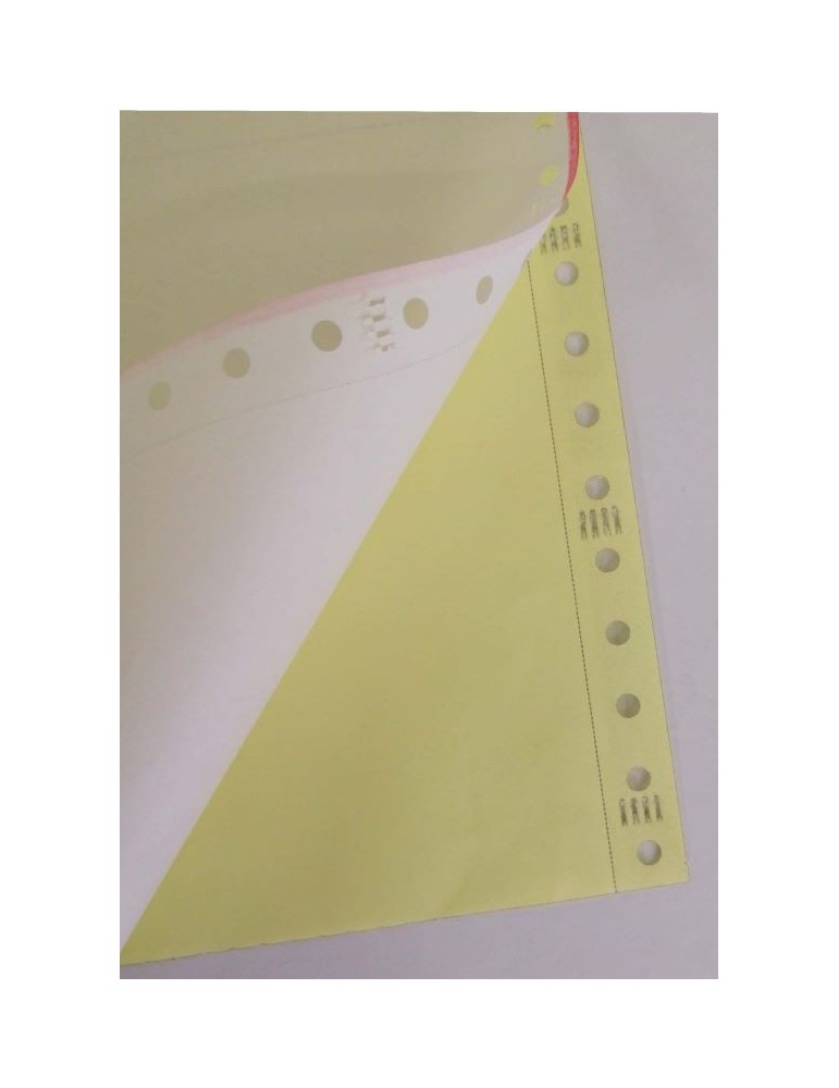 JAYAMART Stationery|Computer Form Colour 9.5" x 11" x 2 ply & 2 up (500f)RM58.00RM58.00Computer Form