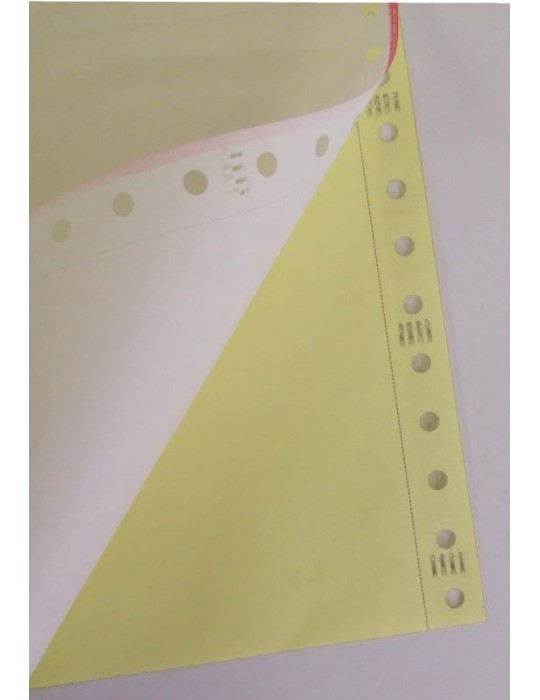 JAYAMART Stationery|Computer Form Colour 9.5" x 11" x 2 ply & 2 up (500f)RM58.00RM58.00Computer Form