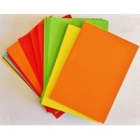 Miscellaneous - Paper Product