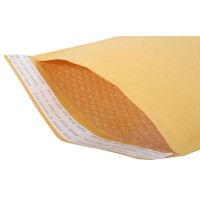 Padded Envelope
